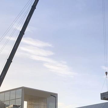 Grue émantèlement TAR 2019/2020